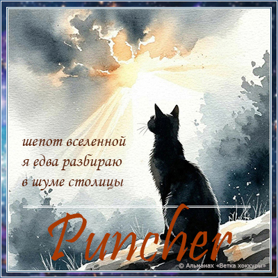Puncher шепот вселенной