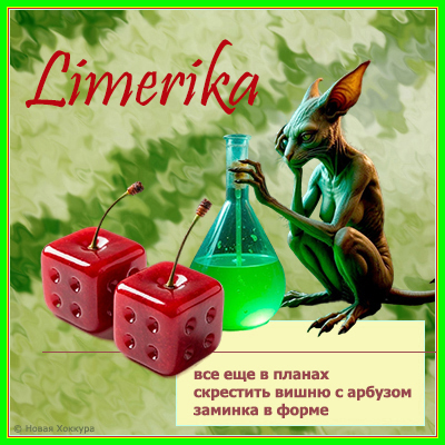 Limerika ��� ��� � ������