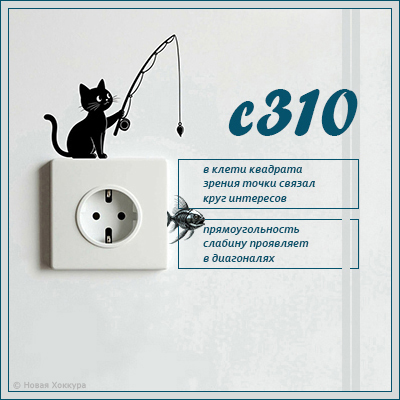 c310 � ����� ��������