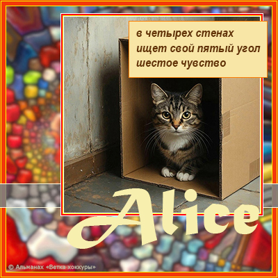 Alice � ������� ������