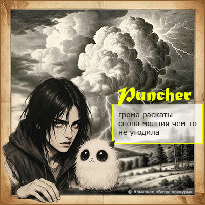 Puncher ����� �������