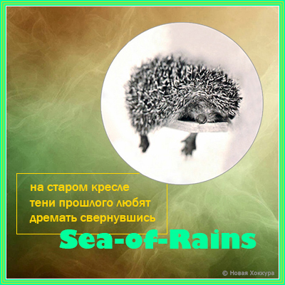 Sea-of-Rains �� ������ ������